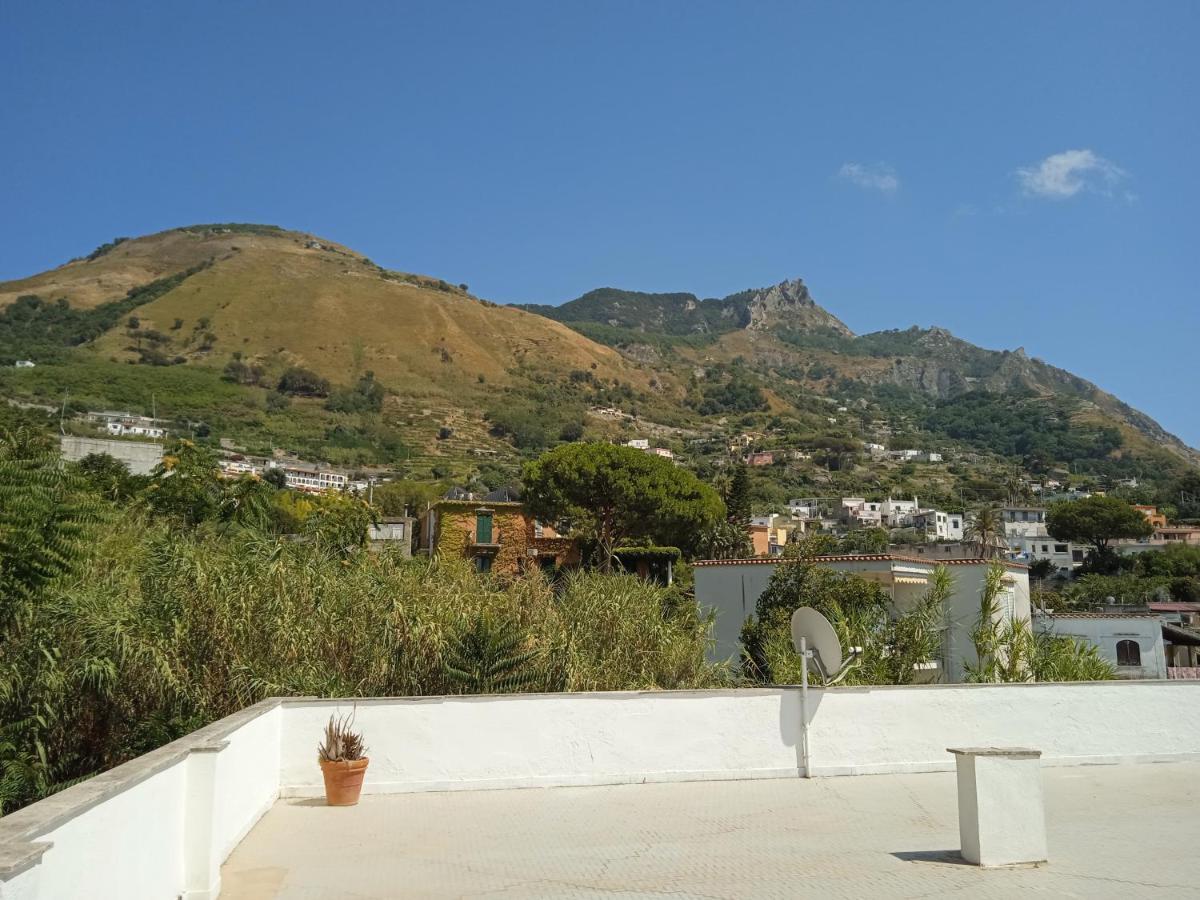 Villa Thomas Bb Conduzione Familiare Forio di Ischia Εξωτερικό φωτογραφία