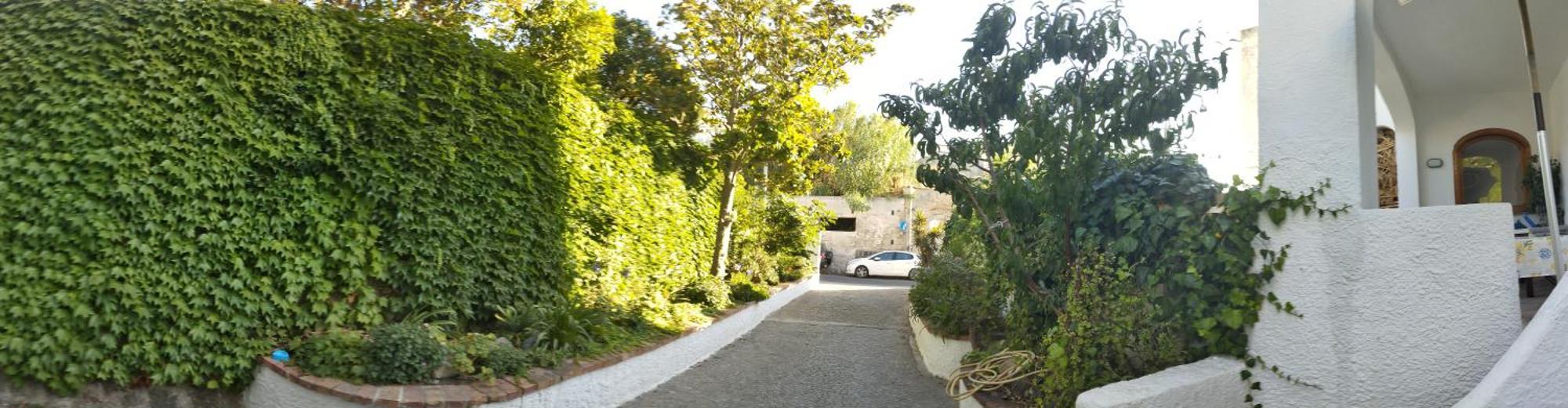 Villa Thomas Bb Conduzione Familiare Forio di Ischia Εξωτερικό φωτογραφία