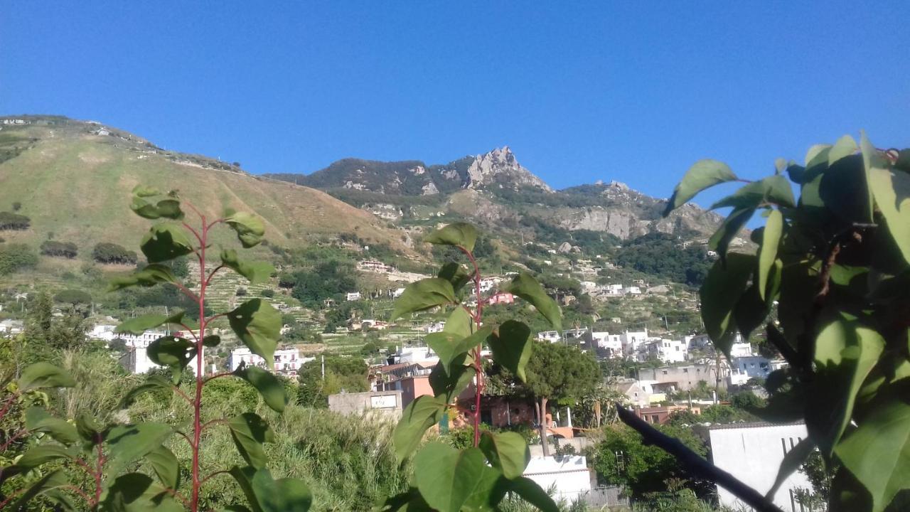 Villa Thomas Bb Conduzione Familiare Forio di Ischia Εξωτερικό φωτογραφία