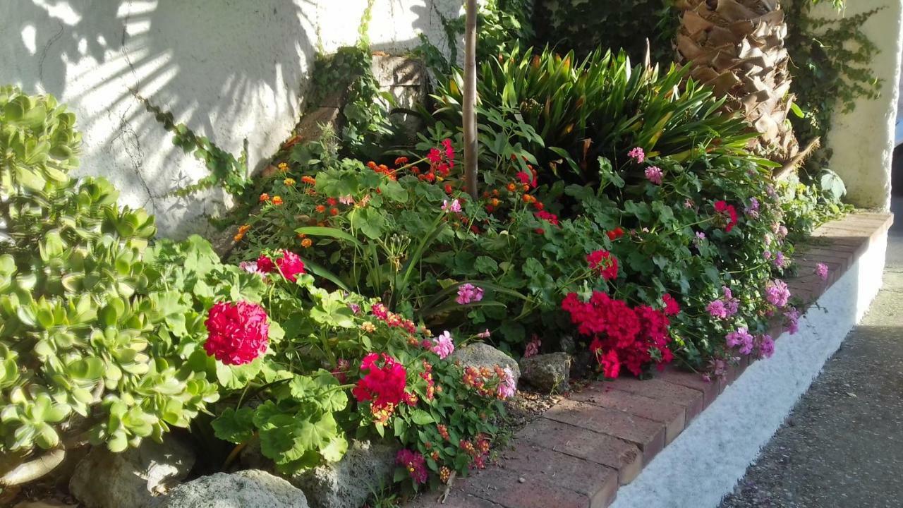 Villa Thomas Bb Conduzione Familiare Forio di Ischia Εξωτερικό φωτογραφία